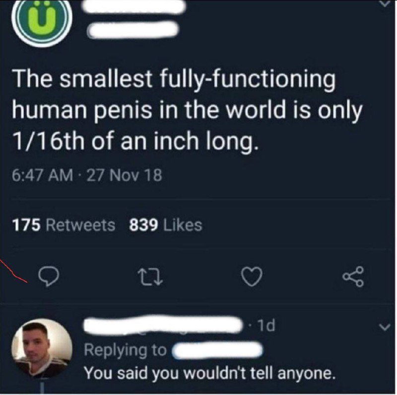 a tweet with the text that reads, the smallest fully functioning humans in the world is only